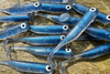 Guma Great Fish GF1 4,9cm | Blue Pearl | krewetkowy | 10 szt.