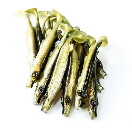 Guma Angry Lures Pike 10cm | NTA