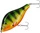 Hot Perch \ 10