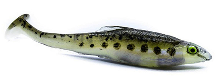 Guma Engima Baits Realfish 9,5cm | Kiełb