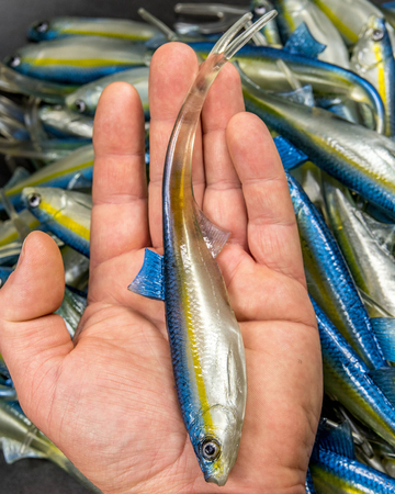 Guma Angry Lures Bleak V-Tail 20cm | TBY
