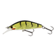 Green Perch