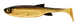 009 - GOLD