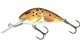 Trout