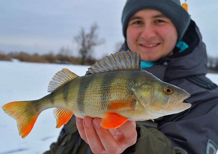 Żuczek podlodowy Mikado Ice Bug 4mm - wolfram - Pomarańczowo-złoty