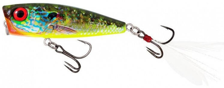 Popper Salmo Rattlin Pop 7cm | Real Hot Bluegill | pływający