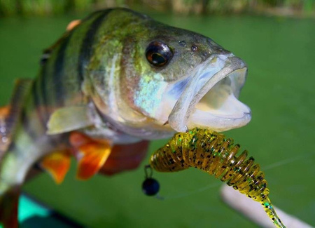 Gumy FishUp Tanta 4,2cm | 1,5" | #048/Bubble Gum | 10szt.