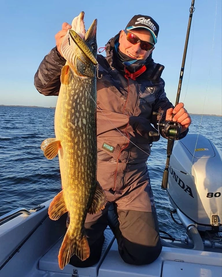 Wobler Salmo Sweeper 14cm | Silver Chartreuse Shad | tonący