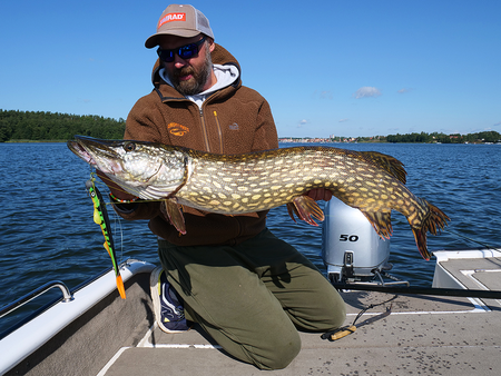 Przynęta Angry Pikes - Uppercut 25cm - 35 g - Firetiger