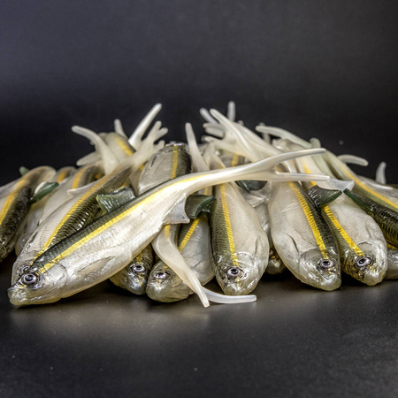 Guma Angry Lures Bleak V-Tail 20cm | WGY