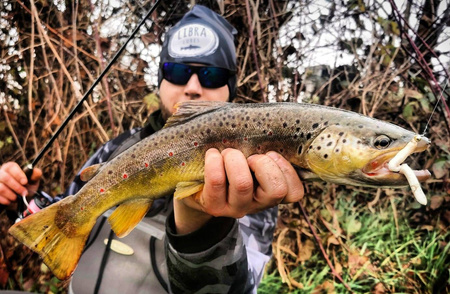 Przynęta Libra Lures Fatty D'Worm Tournament 5.5cm | 036 - Coffee Milk | brak zapachu | 12 szt.