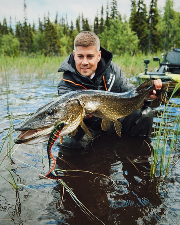 Guma Nays GHST 120 | P-04 | 30.48cm | 142g