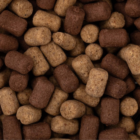 Wafters Baitnow Method Feeder - O`Fish Fish Betaine Roz 8