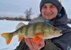 Żuczek podlodowy Mikado Ice Bug 4mm - wolfram - Czarno-złoty