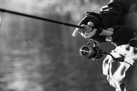 Kołowrotek Shimano Stella 2500 FK