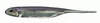 Fish Arrow Flash-J 2" - Lake Wakasagi/Silver #25 - 1 szt.