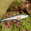 Wobler Engima Baits Comma 7cm | Kleń | tonący