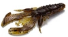 Westin CreCraw Creaturebait 8,5cm 7g Green Pumpkin Purple - 1szt