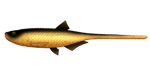 Przynęta Libra Lures Bleak Slug Tail 8.2" | 20.8 cm | 009 - Gold