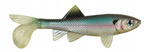 ..Przynęta BERKLEY Sick Fish 10cm - Ghost Minnow 2szt.