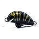 Black Tiger