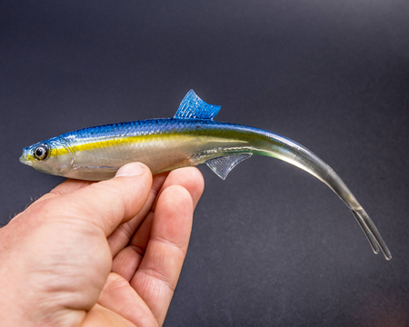 Guma Angry Lures Bleak V-Tail 20cm | TBY