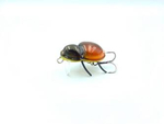 Wobler Gloog Magni 3cm | 2,5g | pływający | CHB