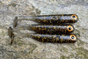 Guma Great Fish GF1 4,9cm | Black&Gold | bezzapachowy | 10 szt.