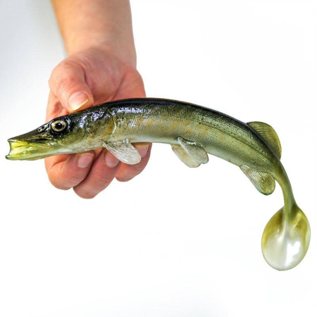 Guma Angry Lures Pike 25cm | NTA
