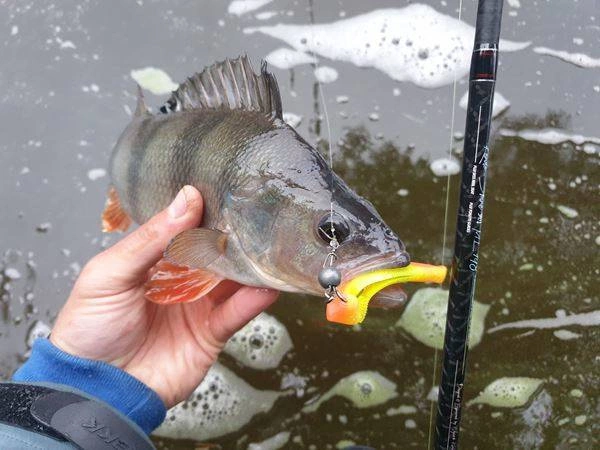 Jaskółka MIKADO SAIRA 12cm, kolor 335 - 1szt