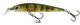 Real Yellow Perch