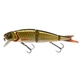 Dirty Roach