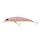 11 \ Pink Shrimp