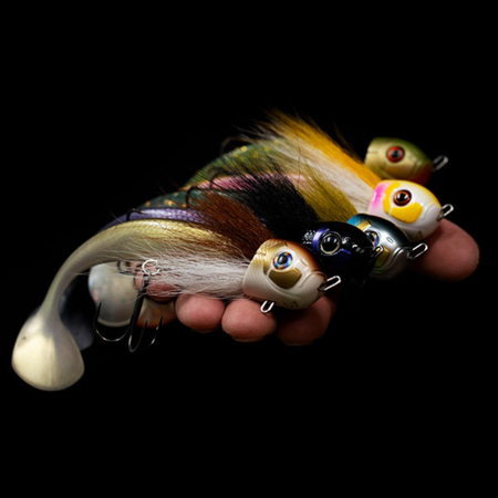 Ogon Blacktail Rooster Junior 14 cm | 18g | Chub