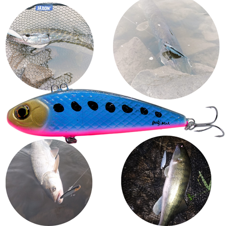 Wobler Engima Baits Cykada 9cm | Rainbow | tonący