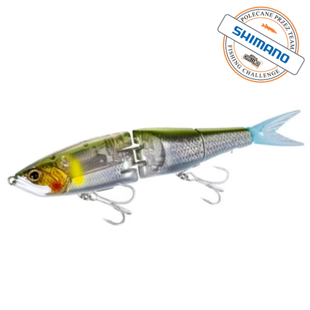 Wobler Shimano Exsence ARMAJOINT 190S FB 19cm | 55g | 006 N Ayu