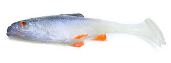 Guma Engima Baits Realfish 8.5cm - Płotka
