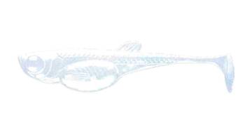 Przynęta LIBRA LURES Embrion Shad 3" (7.5cm) 003 - Blue Pearl, op. 8szt