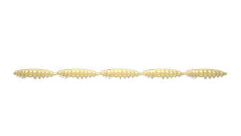 Przynęta LIBRA LURES Larva Multi 5x2,5cm - 005 - bez zapachu