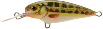 Wobler Dorado Invader 5cm - pływający - kolor MN