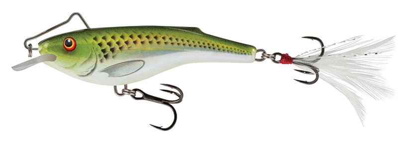 Wobler Salmo Rail Shad 6cm - tonący - Holographic Green Shiner